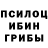 Псилоцибиновые грибы Cubensis Ergashev Asilbek