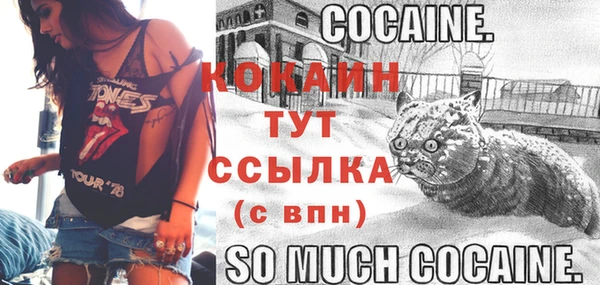 твердый Аркадак