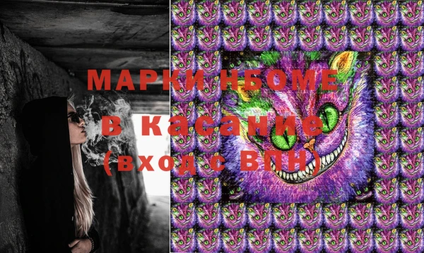 твердый Аркадак