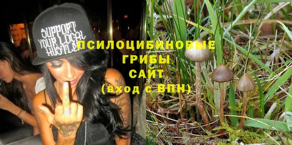 твердый Аркадак