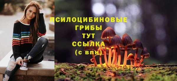 твердый Аркадак
