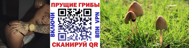 Галлюциногенные грибы ЛСД  Моздок 